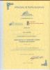 2008:Gestione territorio